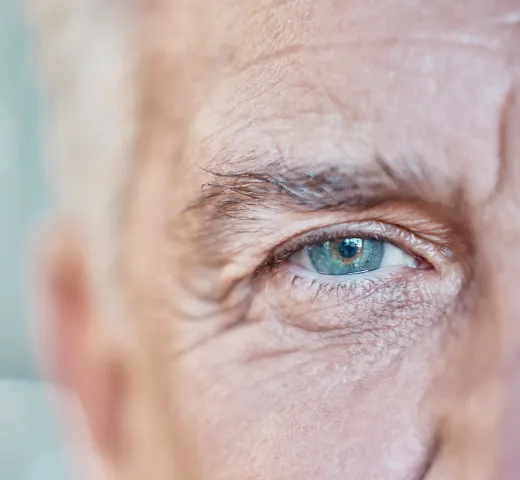 img adults seniors 2x