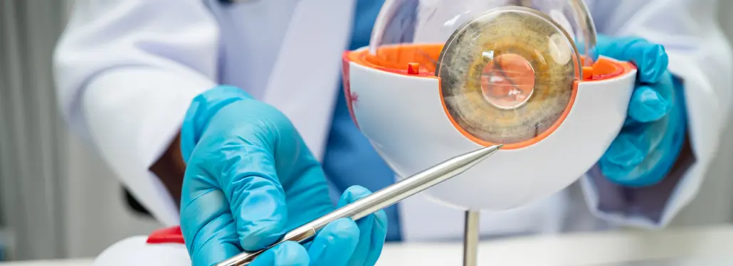 img why choose our ophthalmologist in middletown ct 2x